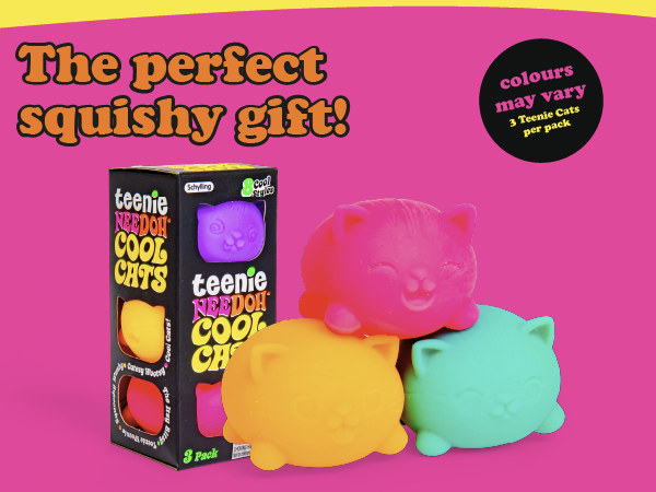 NeeDoh Teenie Cool Cat Mini Fidgets
